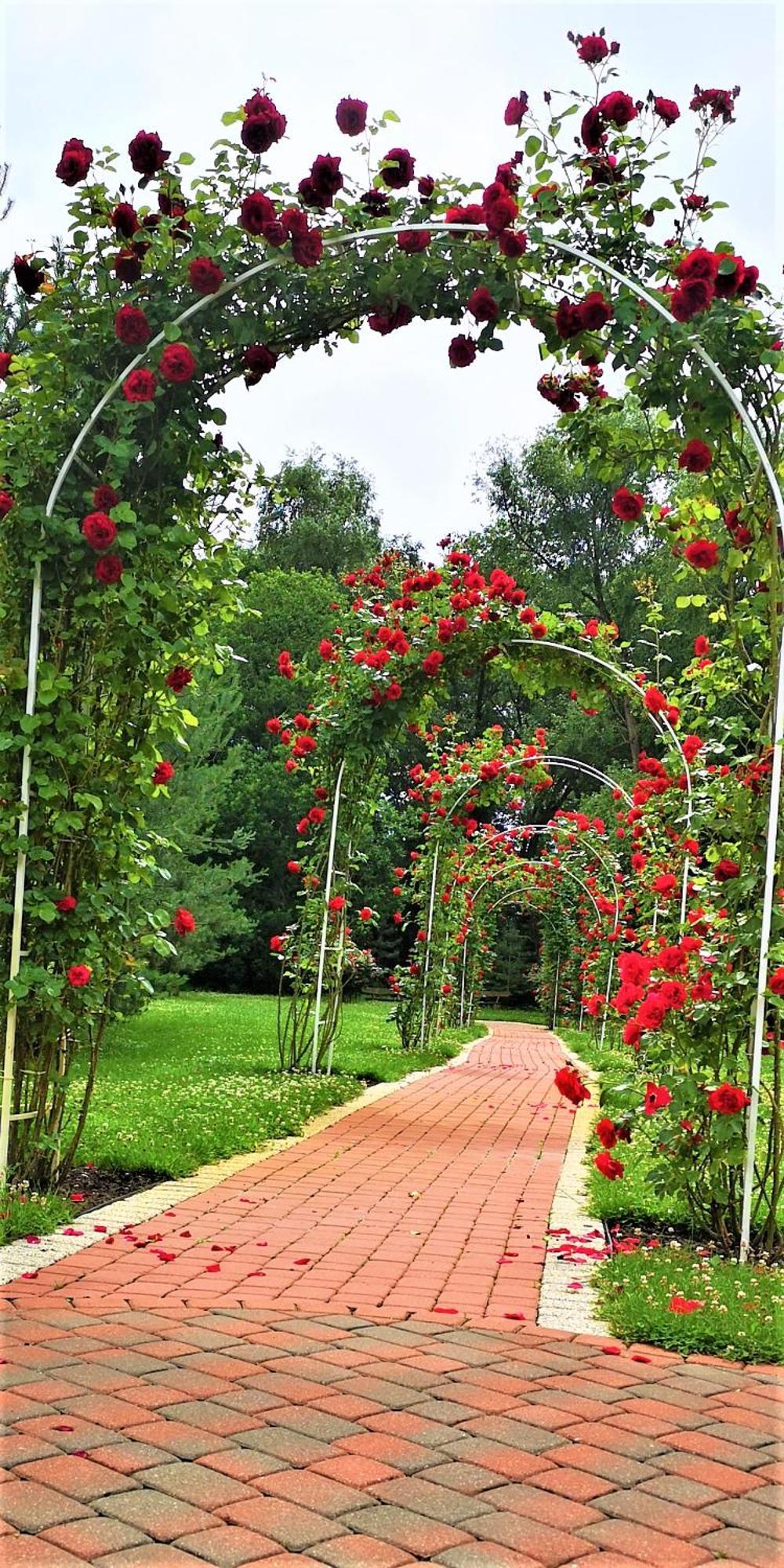 Zupe Guest House Radailiai Bagian luar foto